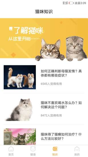 猫咪翻译器