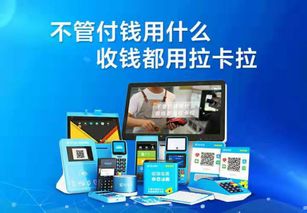 拉卡拉家用刷卡机：全能支付助手，让生活更便捷！ 3