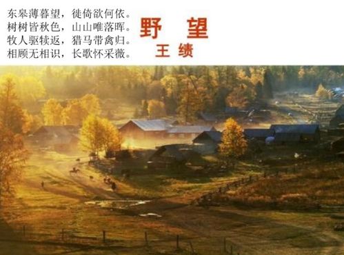 《王绩·野望》全诗注音版，轻松学习古诗词发音 2