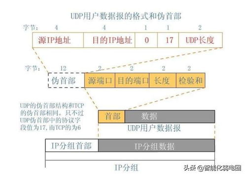 揭秘！BDP究竟是哪些单词的缩写？ 4