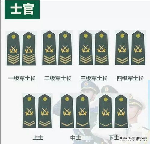 六级士官对应的级别是什么 4