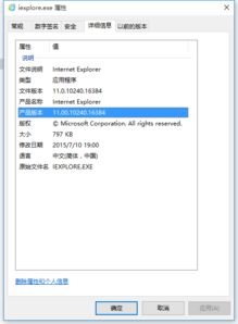 轻松掌握：一键查看IE浏览器版本号的方法 1