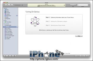 掌握iTunes新特性：Genius（智能推荐）使用指南 1