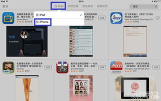 iPad mini2用户必看：轻松掌握微信iPad版官方下载秘籍 3
