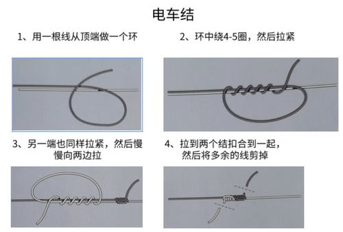 揭秘：钓鱼时主线与子线的关键差异！ 2