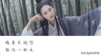 探寻“吴丝蜀桐张高秋”之后的诗意延续 4