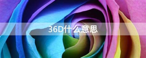 解读'36D'的含义 2