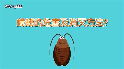 家里如何有效杀灭蟑螂？ 4