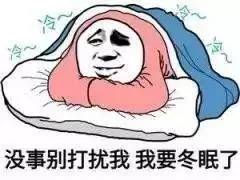 应对寒冷天气的策略 1