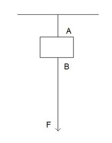 揭秘！1牛顿对应的千克数是多少？ 2