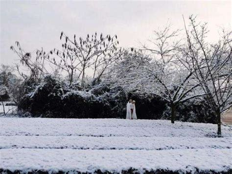 他朝若是同淋雪，全诗内容大揭秘！ 5