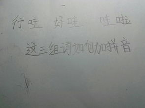 哇字能组成哪些词汇？ 2