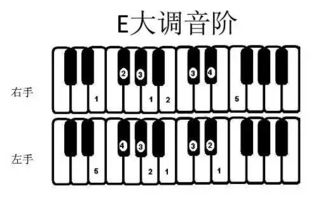 探索钢琴世界的多维尺寸：揭秘不同规格的魅力 3