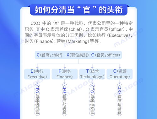 揭秘企业高层职位：CEO、CFO、COO各自代表什么关键角色？ 2