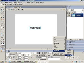 如何安装并激活Fireworks v8.0简体中文版？ 4