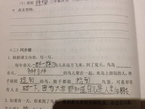 二年级上册：探索“有时候…有时候…”的奇妙造句世界 1