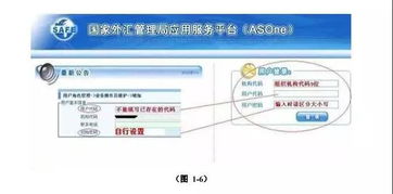 如何进行国际收支网上申报？ 1