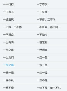 以“二”字打头的成语集锦 3