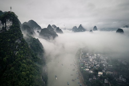 神秘而迷人的山野探秘 1