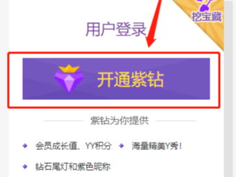 YY紫钻开通步骤指南 4