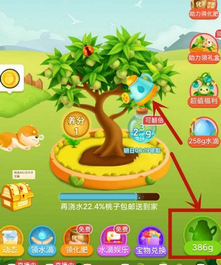 拼多多APP内访问多多果园的步骤指南 2