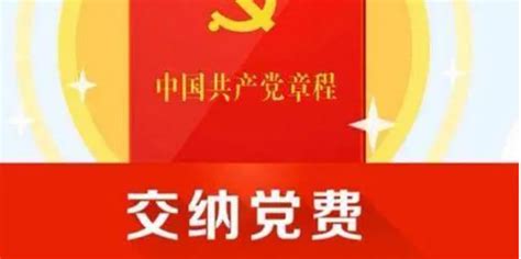 七十岁无收入党员是否需要缴纳党费？ 4