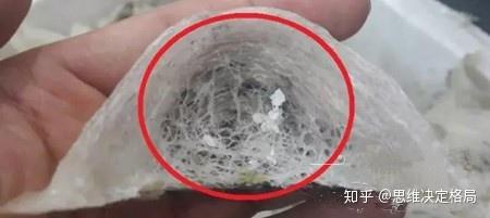 燕窝是什么样子的？ 3