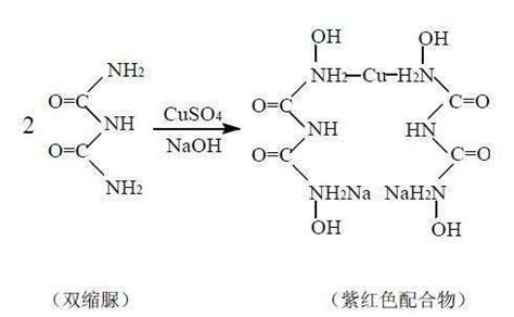 双缩脲与双缩脲试剂的差异解析 2