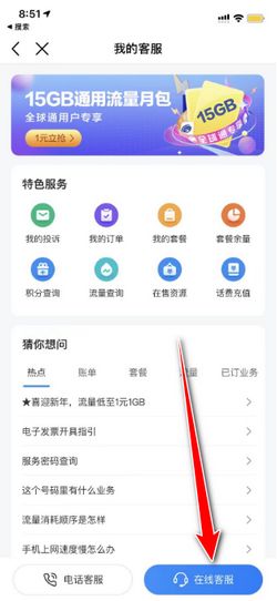 快速掌握：电话卡挂失的实用指南 3