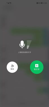 利用语音技术输入文字的方法 2