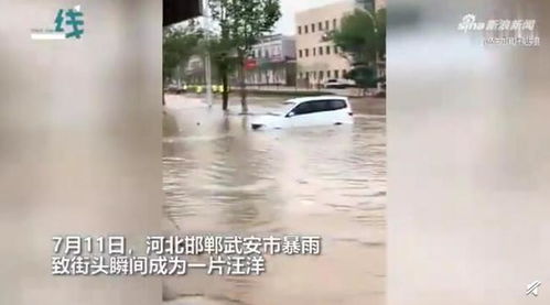 河北暴雨肆虐街头变汪洋，市民紧急抱树求生惊魂记！ 2