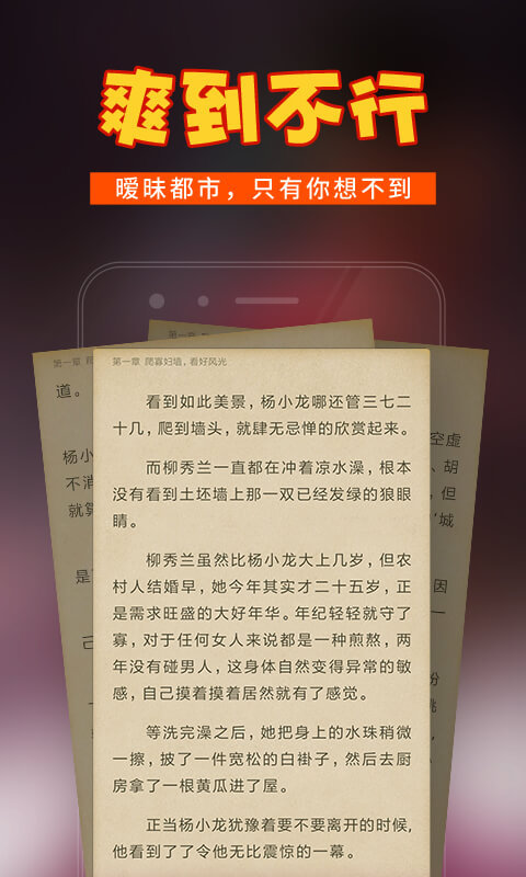 乡村小说 1