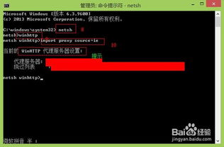 Win8/8.1应用商店无法打开？快速解决方法来了！ 2