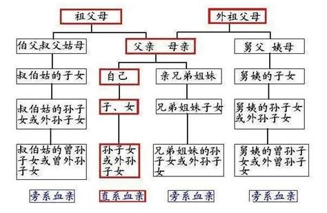 探寻尊称对方儿子的多种方式 2