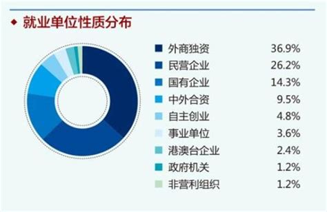 揭秘：单位性质与经济类型的多样化分类详解 1