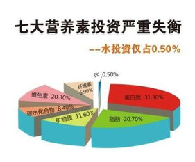 人体所需七大营养素金字塔解析 2