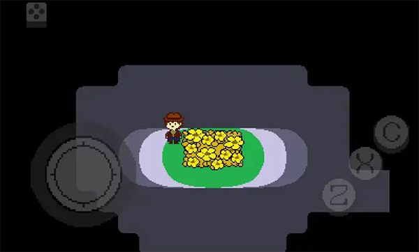传说之下黄金正义移植版 截图2