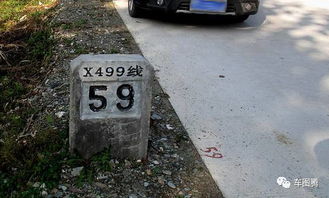 揭秘道路标识：G为国道，S为省道，X为县道，Y竟是乡道！ 2