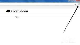 揭秘！轻松应对网页访问障碍：解决恼人的HTTP 403错误全攻略 2