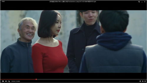 《复仇天使》电视剧总集数是多少 2
