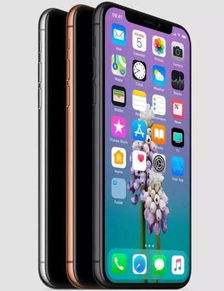 iPhone X屏幕尺寸详解 2