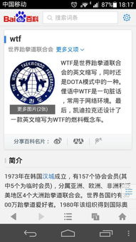 揭秘“WTF”背后的含义：你真的懂吗？ 2