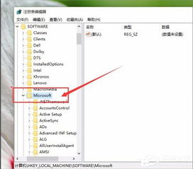 打造个性化体验：Win11系统照片查看器设置全攻略 3