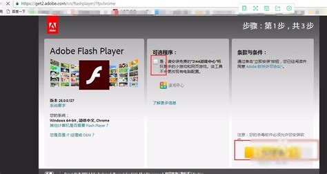 处理Adobe Flash Player因过期被阻止的解决方案 3