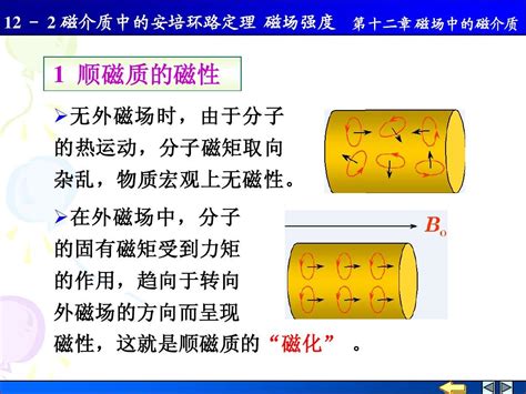 如何判断物质的顺磁性与反磁性 2