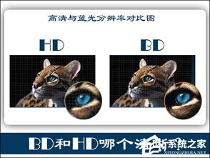 BD与HD大比拼：究竟哪个画质更胜一筹？ 3