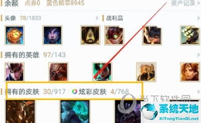 如何在掌上联盟轻松查看已获得的炫彩皮肤？ 1