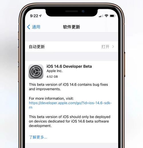 如何将iOS 14 Beta升级至正式版 2