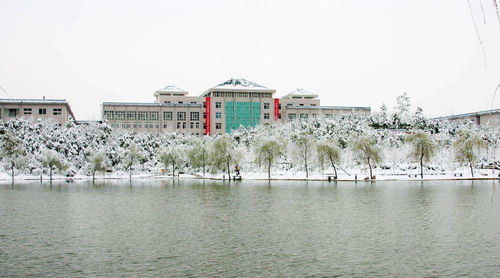 武汉生物工程学院是几本学历的院校？ 2