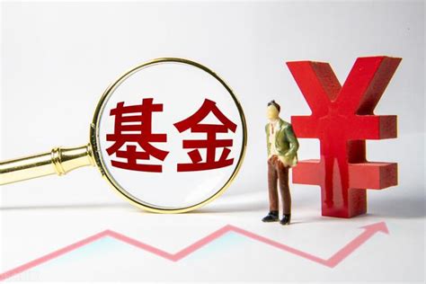 基金亏损成常态，波澜不惊背后你的看法如何？ 5